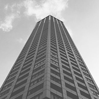 The Visible Firm<sup>®</sup>