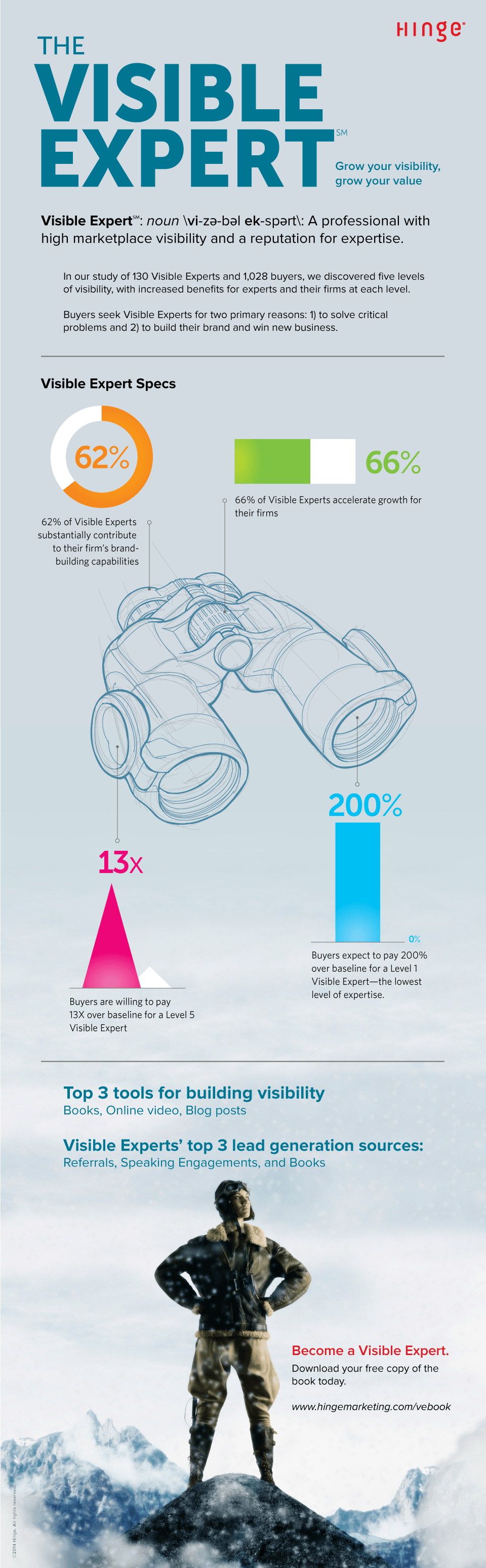 Visible Expert Infographic Visible Expert Infographic